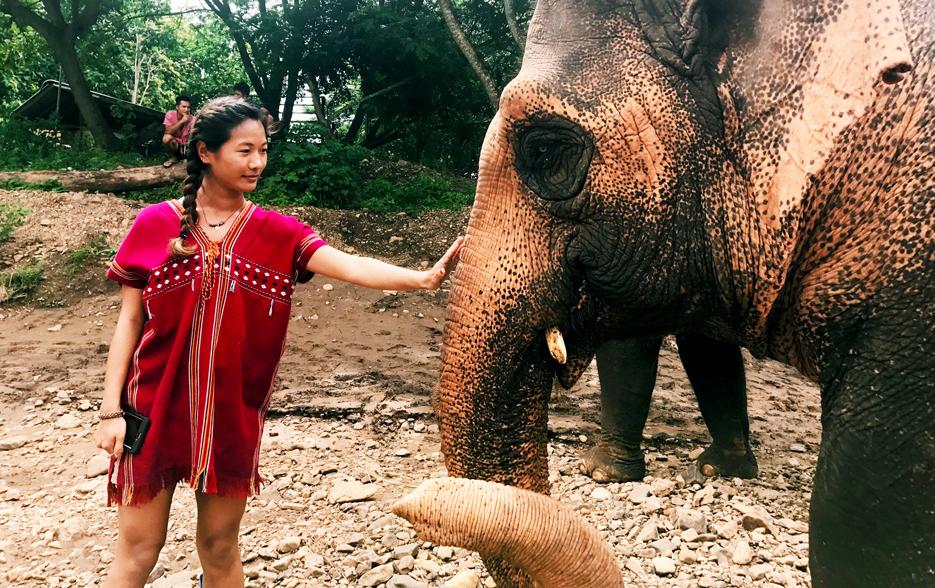 Woeser Dolma '18 visits an elephant sanctuary while studying abroad in Thailand 
